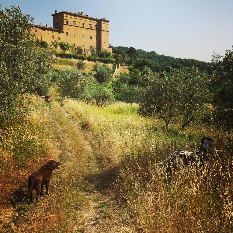 Castello Di Potentino セッジャーノ エクステリア 写真