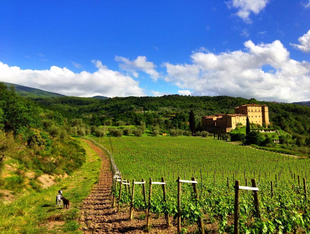 Castello Di Potentino セッジャーノ エクステリア 写真